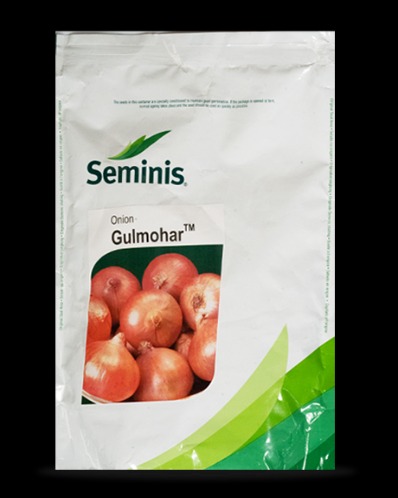 onion seiten