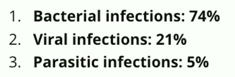 deep web addresses onion