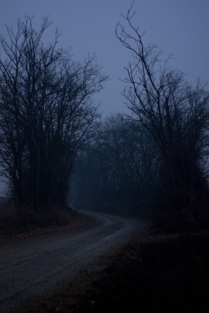 dark markets ecuador