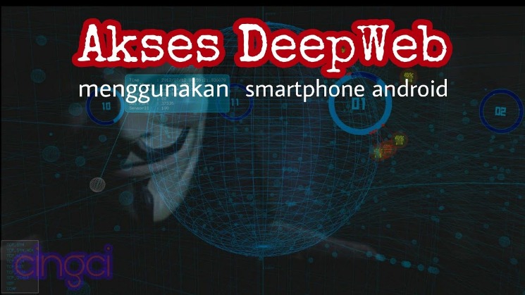 which darknet markets are up