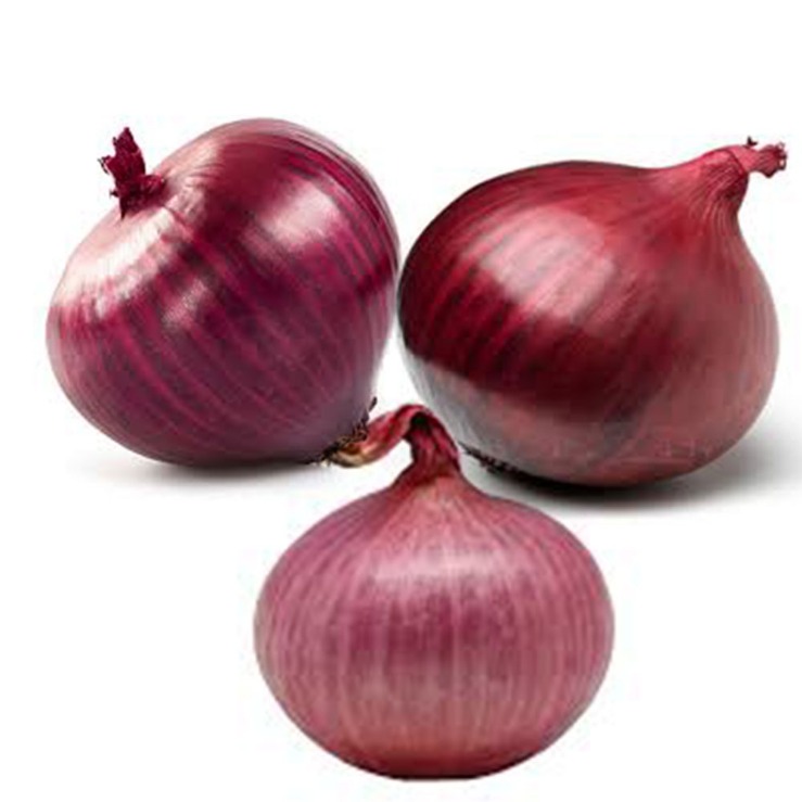 onion links sites