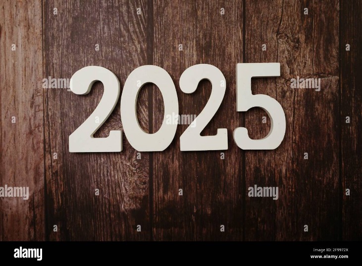 2025 working darknet market