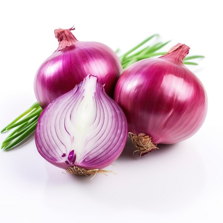 onion link search engine