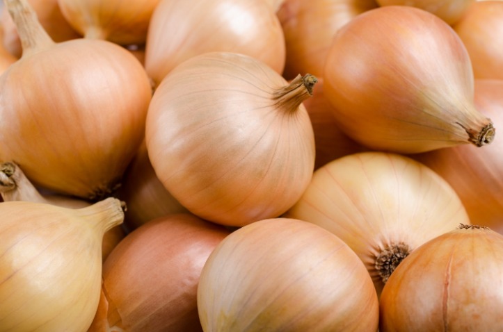 onion websites for credit cards