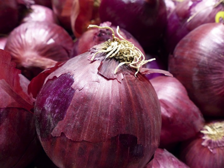 onion live links