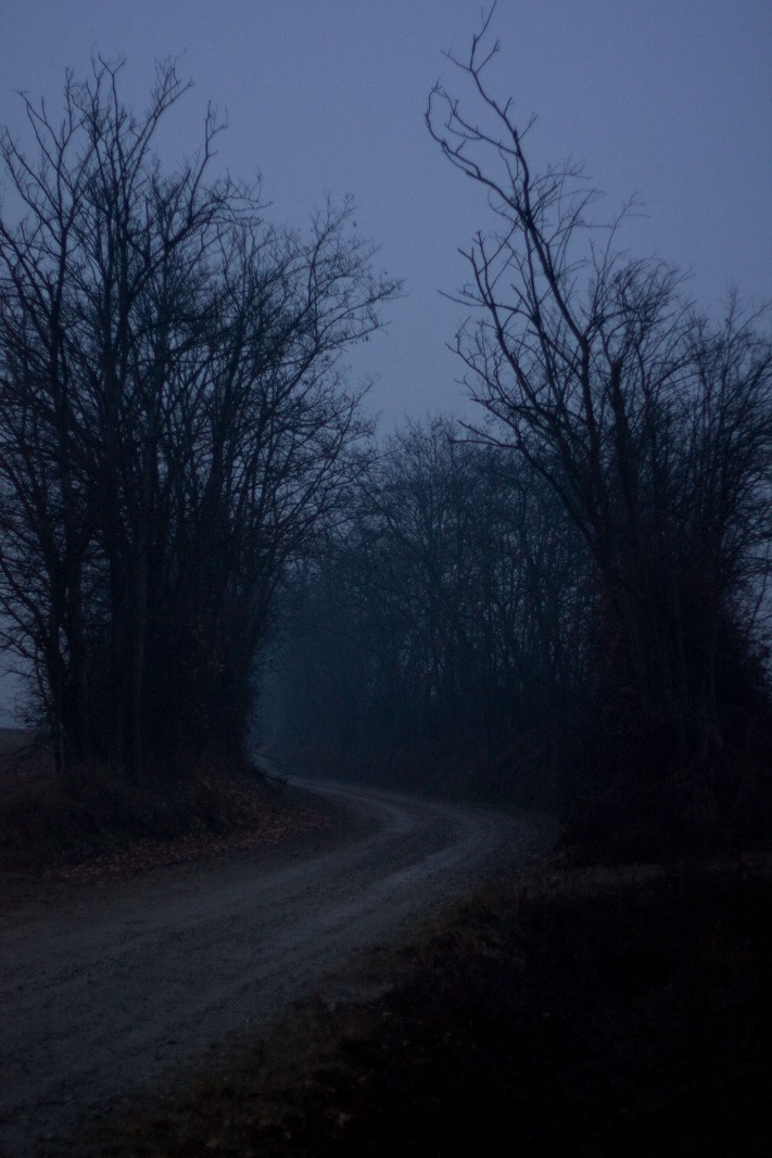 dark markets slovenia