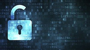 what darknet markets are up