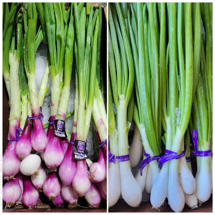 onion directory list