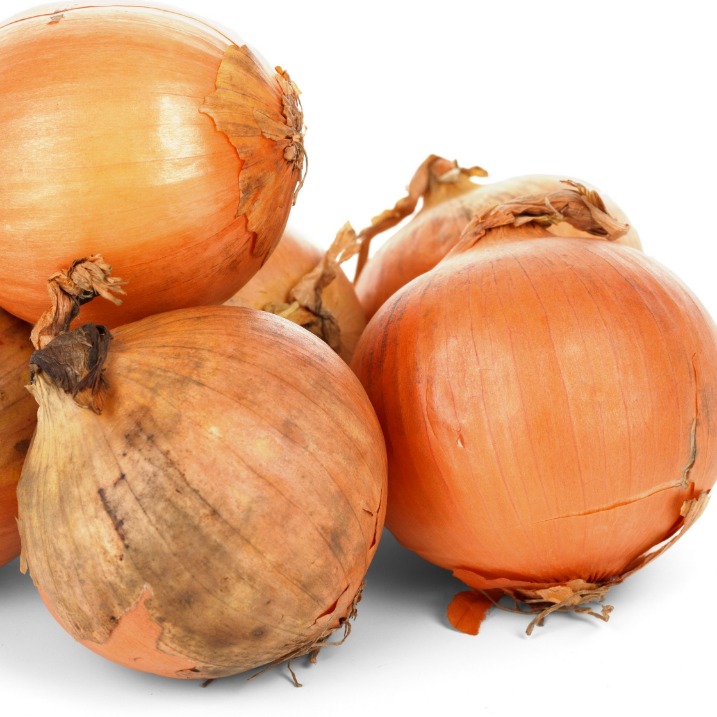 onion directory list