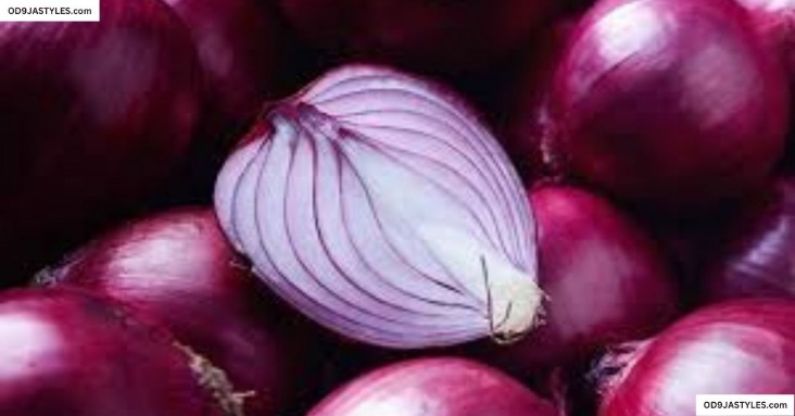 onion directory list