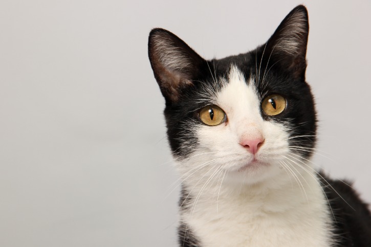 black market buy online