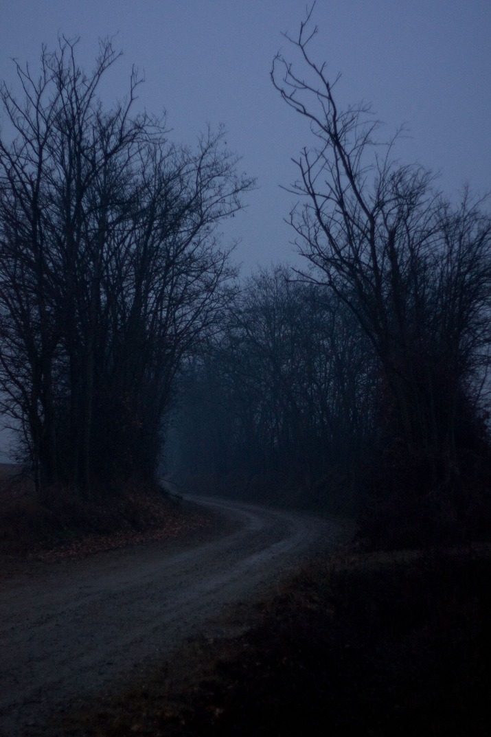 dark net market links 2023