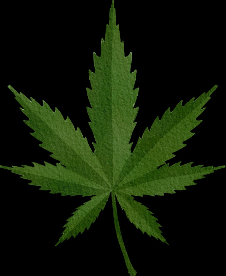 weed darknet market