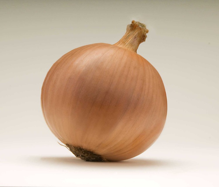 onion link