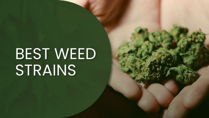 weed only darknet market