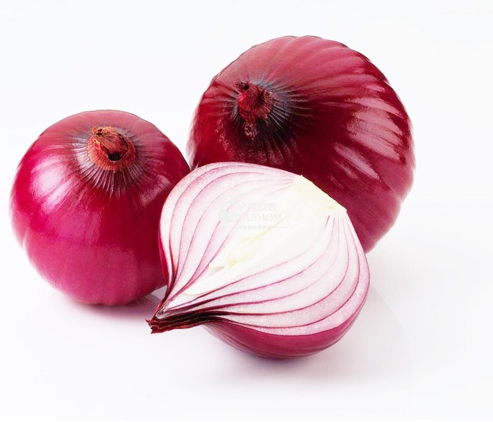 onion dark web list