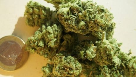underground website to buy drugs