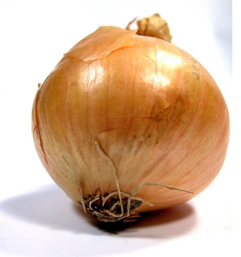 onion links for deep web