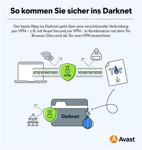 tor browser darknet
