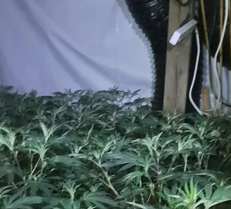 underground website to buy drugs