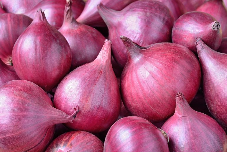 onion websites for credit cards